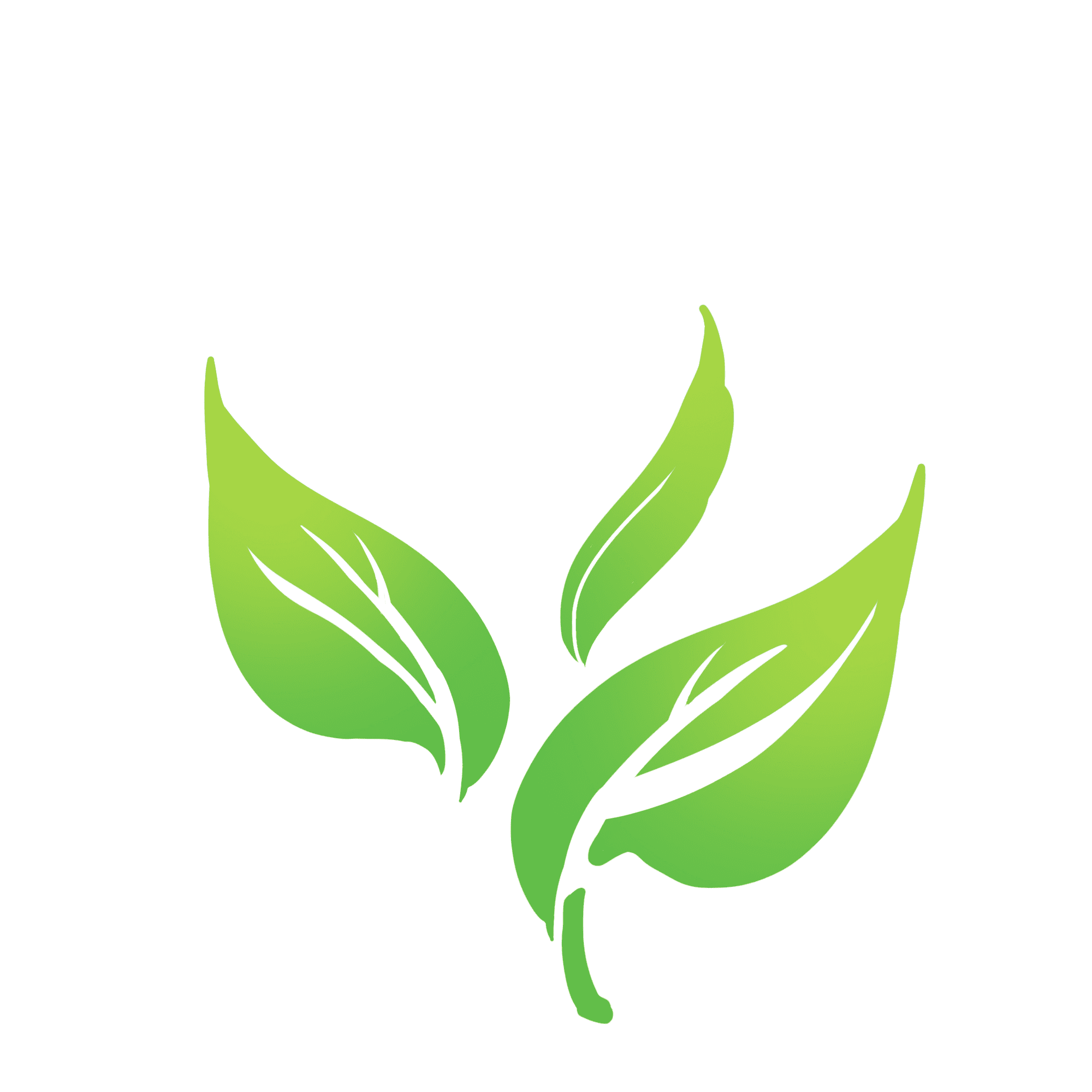 ELVI TEA - CAMOMILE loose leaf tea - Coffee Zest online shop